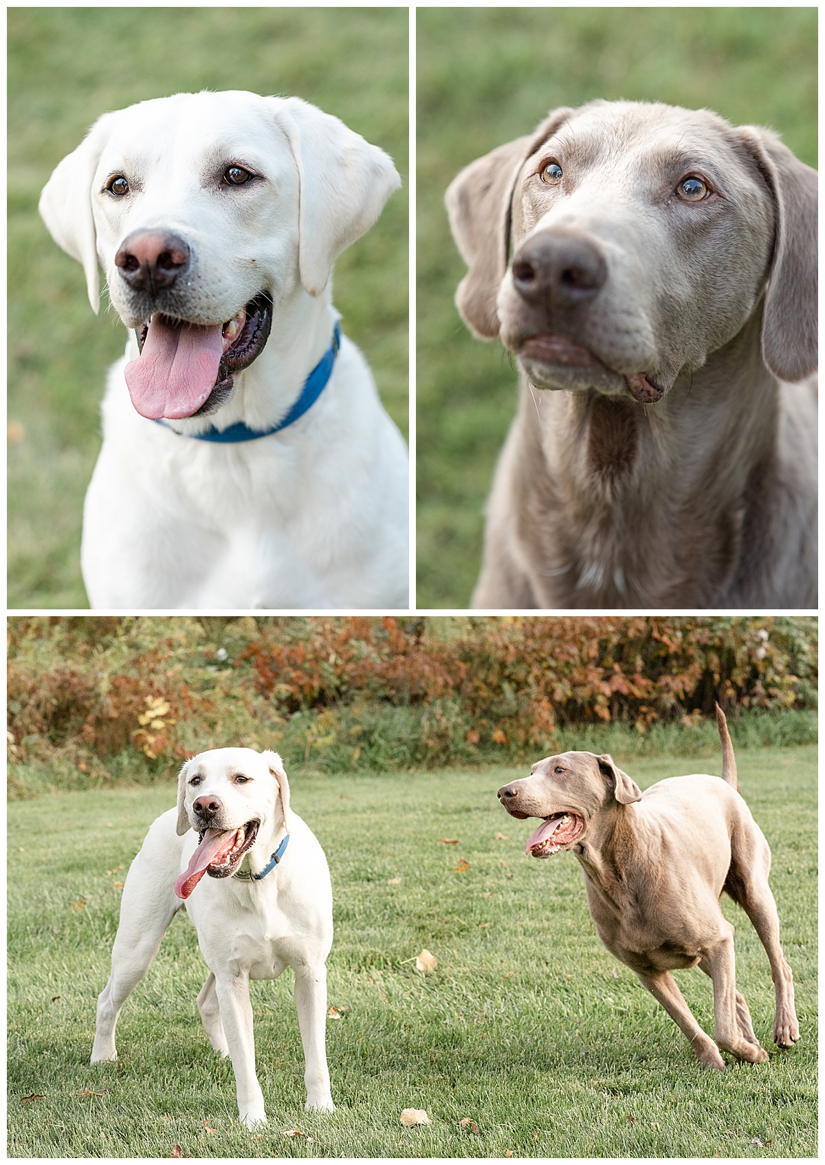 Fall River WIFamily Session_0004.jpg