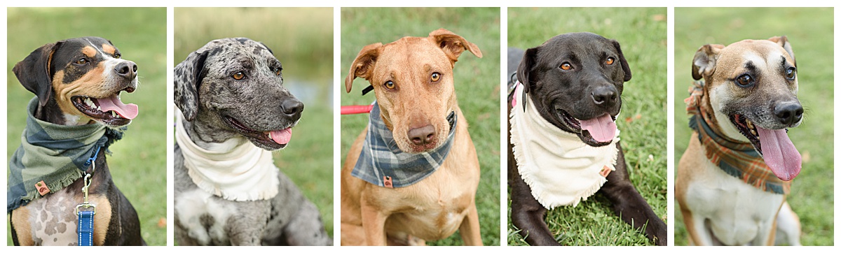 Cushing Memorial Park Extended Family Session_0001.jpg