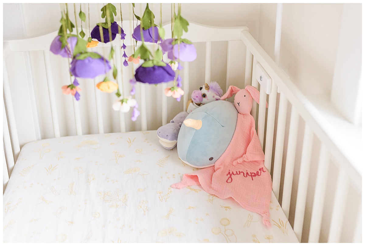 Greenbush Family Session 00004.jpg