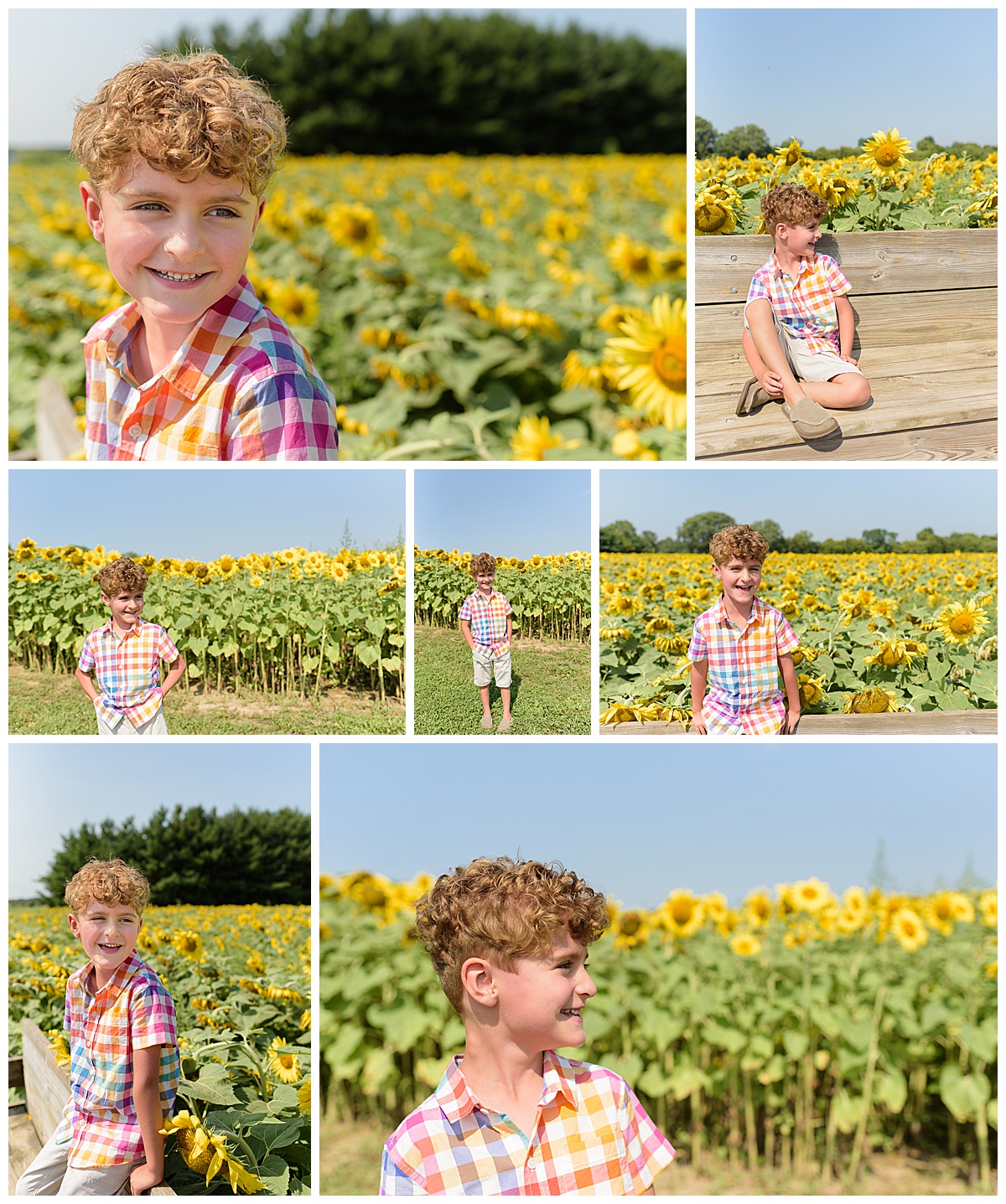 Sunflower and Zinnia Farm Session 00004.jpg