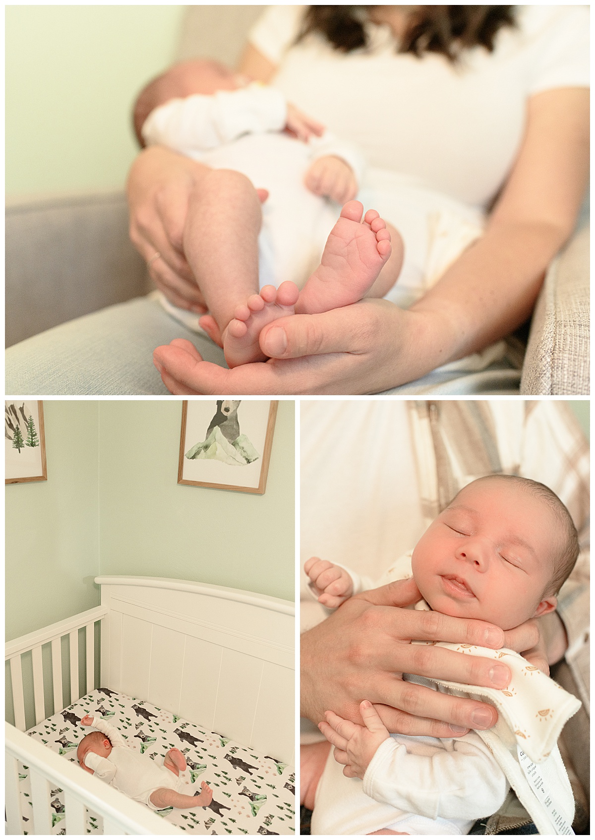 Welcome Baby Z_0003.jpg